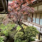 Alcuni tra i più belli edifici storici del Giappone, circondato da giardini Zen