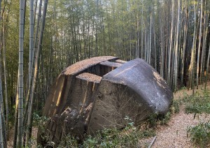 Lun 18 - Le Pratiche Yamabushi.jpg