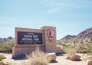 Palm Springs > Joshua Tree N.p. > Oatman > Kingman (luned&igrave; 10 Agosto).jpg