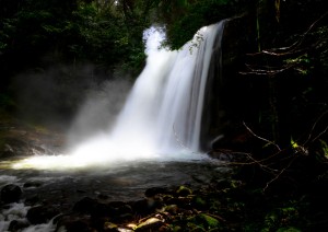 Safari - Udzungwa.jpg
