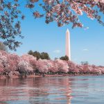 Washington Memorial [Foto di Andy He su Unsplash]