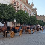 Reales Alcázares, Siviglia