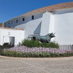 Plaza de Toros, Ronda
