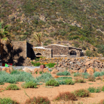 Dammuso Pantelleria