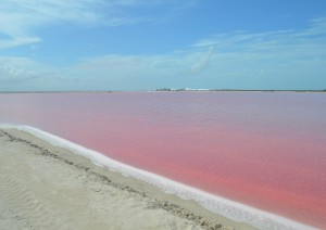 Riviera Maya - Las Coloradas (7 Novembre).jpg