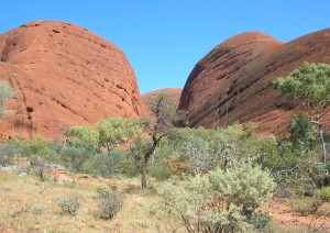 Ayers Rock (escursione Outback).jpg