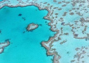 Cairns (barriera Corallina).jpg