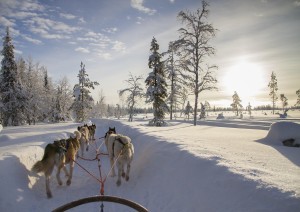 Marted&igrave; 8 Dicembre: Rovaniemi.jpg