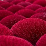 Spiritualità vietnamita (Foto di Trinity Treft su Unsplash)