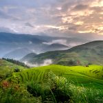 Natura (Foto di Quang Nguyen Vinh da Pexels)