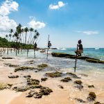 Galle (Foto di Daniel Klein su Unsplash)