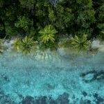 Ultimo paradiso (Foto di Ernests Vaga su Unsplash)