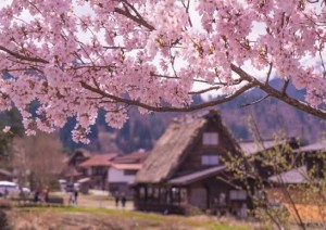 Shirakawa-go E Kanazawa.jpg