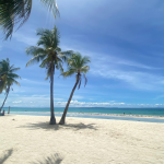 Bohol