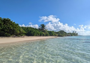 28 Marzo | Pointe-&agrave;-pitre, Guadalupa.jpg